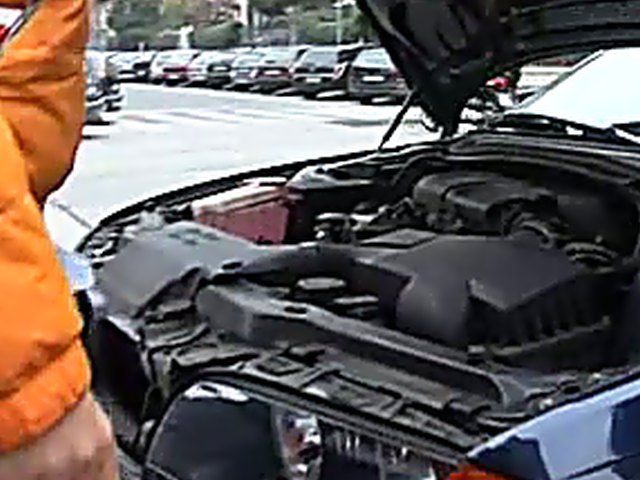 Stunning brunette sucks and rides a small dick