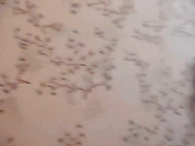 Nice Turkish girlfriend with cute pussy fucked POV