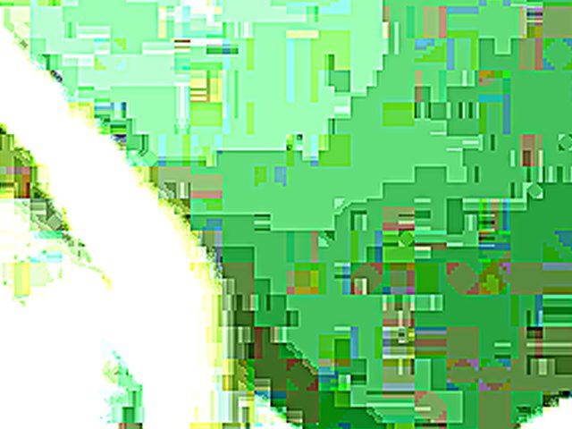 Sexy blonde gets filmed as she sucks cock