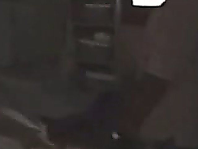 White chicks love to fuck big black cocks