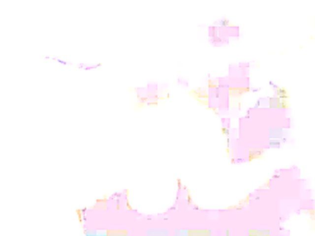 White chicks love to fuck big black cocks