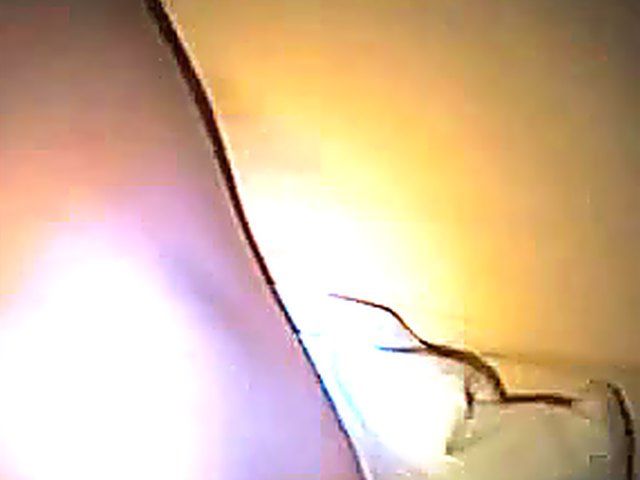 Horny babe masturbates in front of her boyfriend