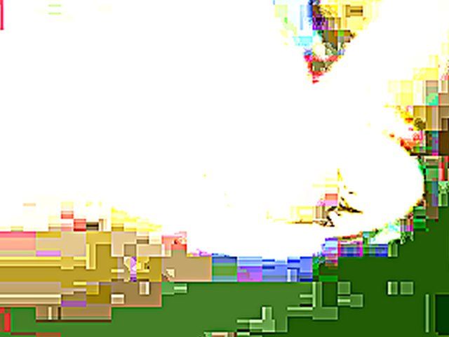 Horny swingers suck and fuck until they cum