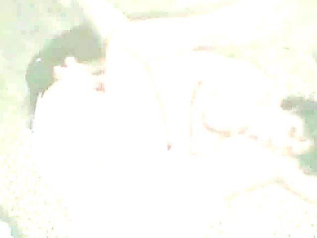 Beautiful brunette jerks a cock with her feet