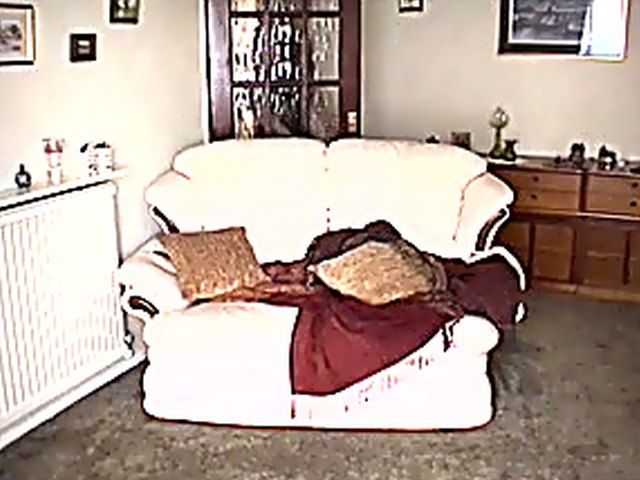 Mature shemales in sexy clothes suck cock