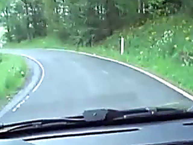 German lady with big tits gets fucked hard