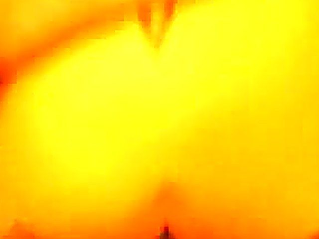 Naughty babe sucks cock in a toilet