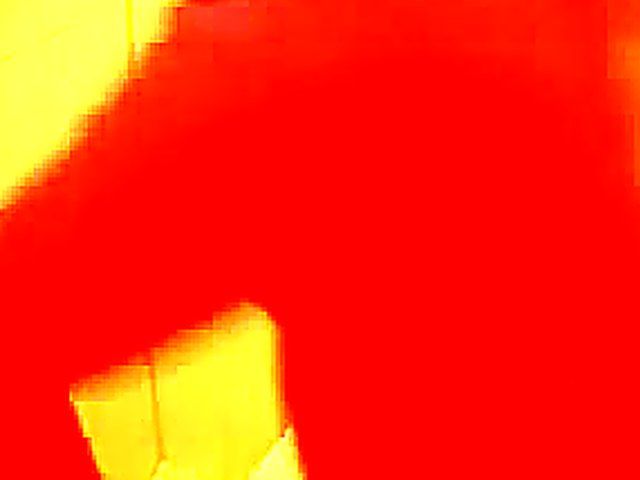 Naughty babe sucks cock in a toilet