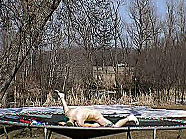 Outdoor exhibitionist flaunts fun