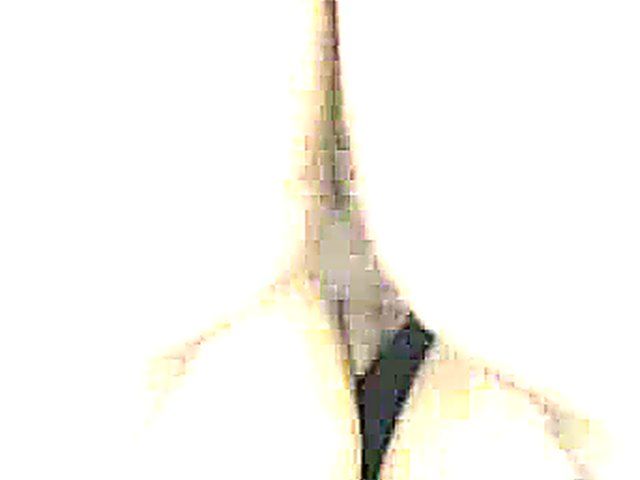 Chubby brunette knows how to be sexy