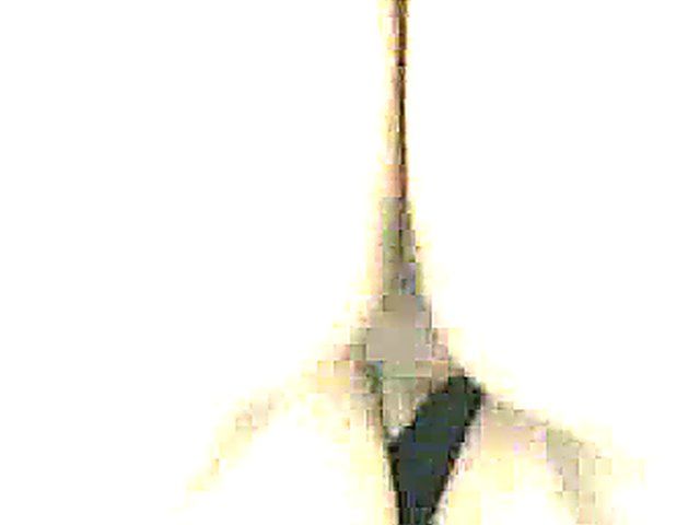 Chubby brunette knows how to be sexy