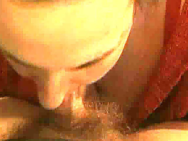 POV footage shows hot blowjob