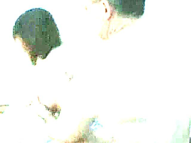 It's feeding and fornicating time