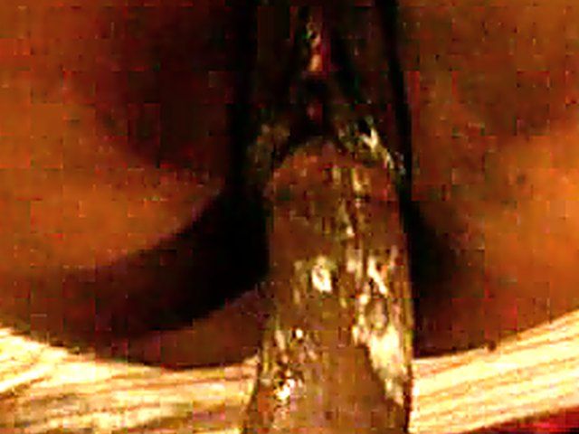 Amateur close up hardcore sex