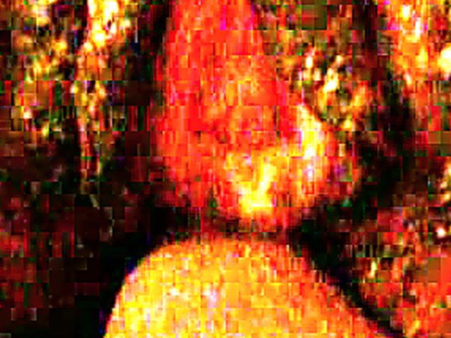 Amateur close up hardcore sex