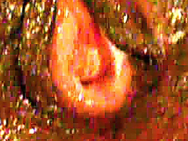 Amateur close up hardcore sex