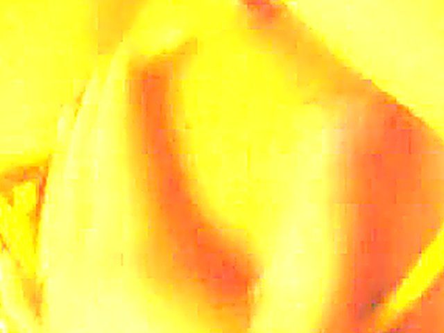 Young brunette babe with big tits sucks cock