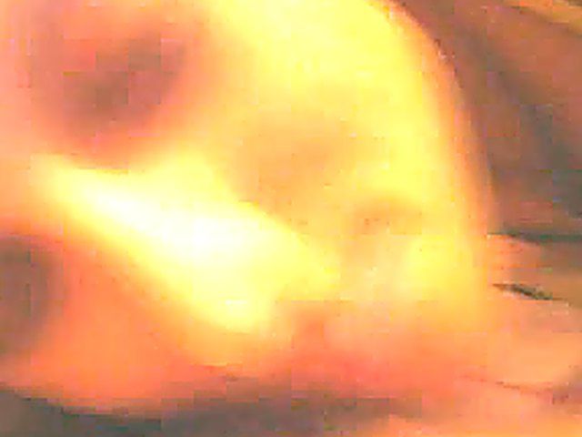 Young brunette babe with big tits sucks cock