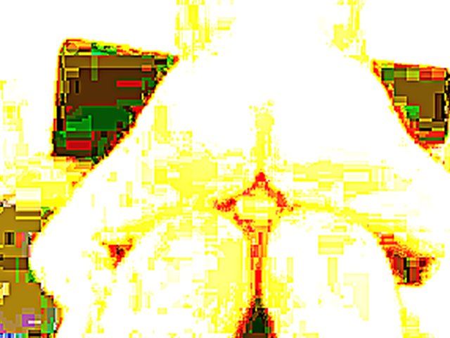 Big assed woman rides her husbands big dick