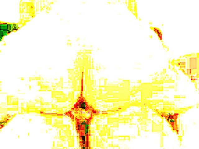 Big assed woman rides her husbands big dick