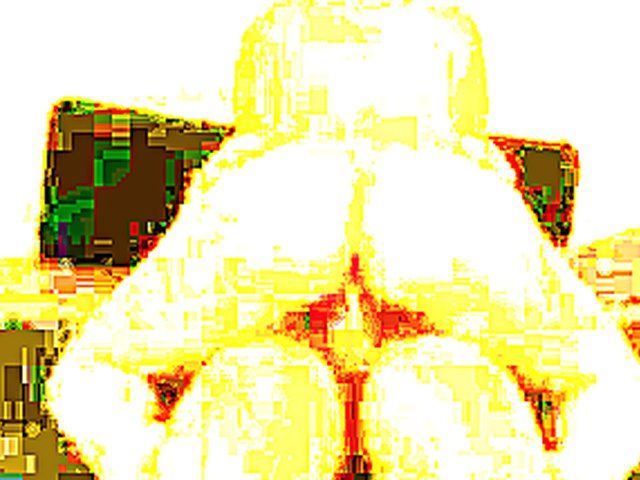 Big assed woman rides her husbands big dick