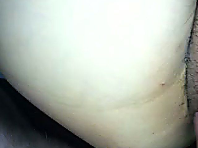 Big fat pussy gets a big hard cock