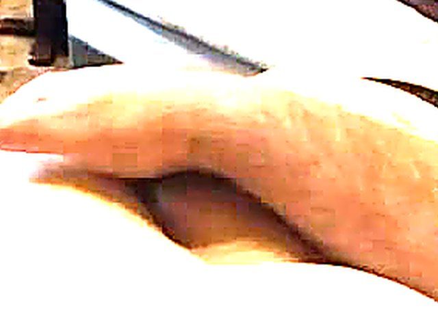 Fat chick gets her big tits played with