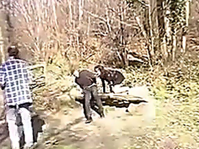 Slutty woman gets fucked outside in public
