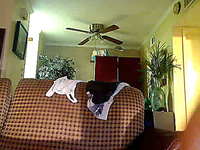 Kinky couple fuck in front of the camera