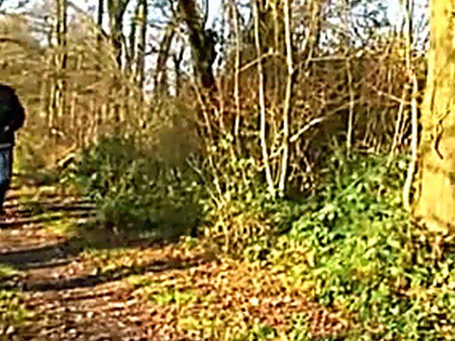 Beautiful french babe gets fucked by two men