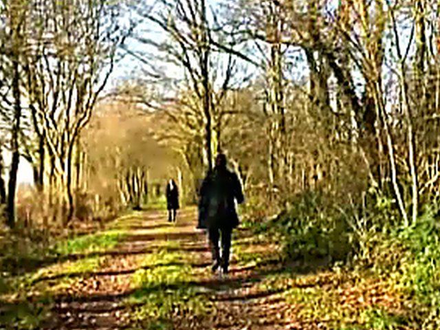 Beautiful french babe gets fucked by two men