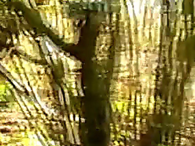 Beautiful french babe gets fucked by two men