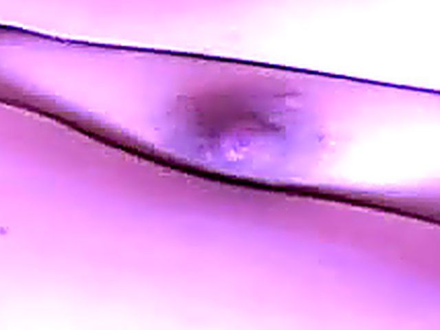 Sensual Japanese babe strips and fingers her pussy