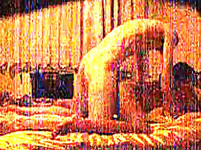 Hot couple have hot sex on luxurious sheets