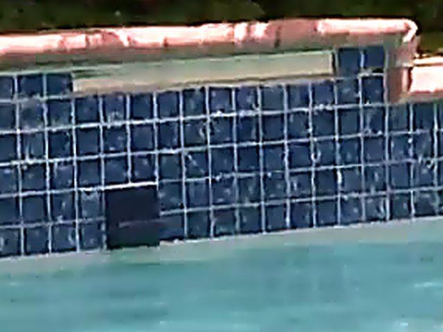 Sexy Milf's bend over and spread their assholes