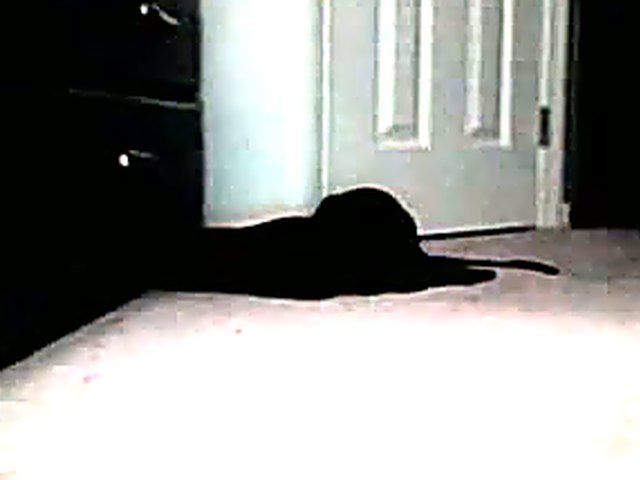 Blonde babe dildos her tight young pussy