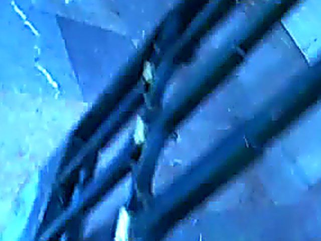 Hunky man gives a sex babe a facial