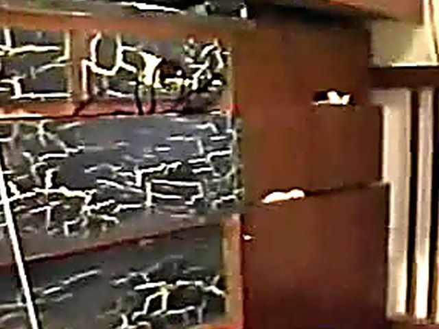 Sexy white chick fucks two big black cocks