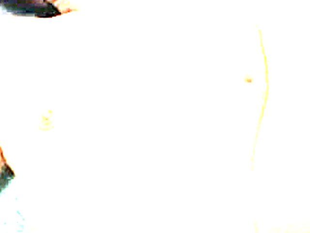 Italian bitch fucks whilst wearing sun glasses