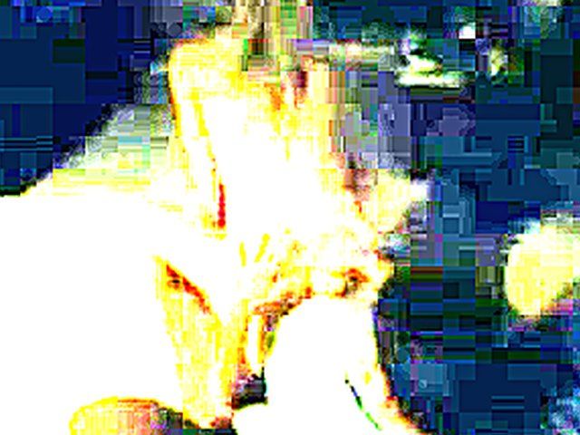 Blonde babe has an orgasm whilst being fucked