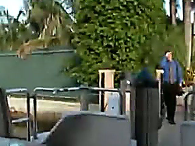 Busty Latin chicks suck and fuck big cocks