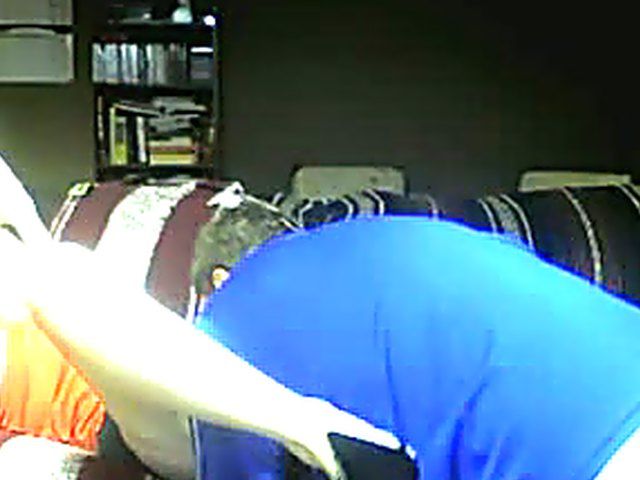 Blonde babe fucks a huge cock, and dildo