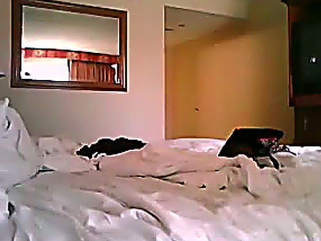 Chubby chick loves getting her tight pussy licked