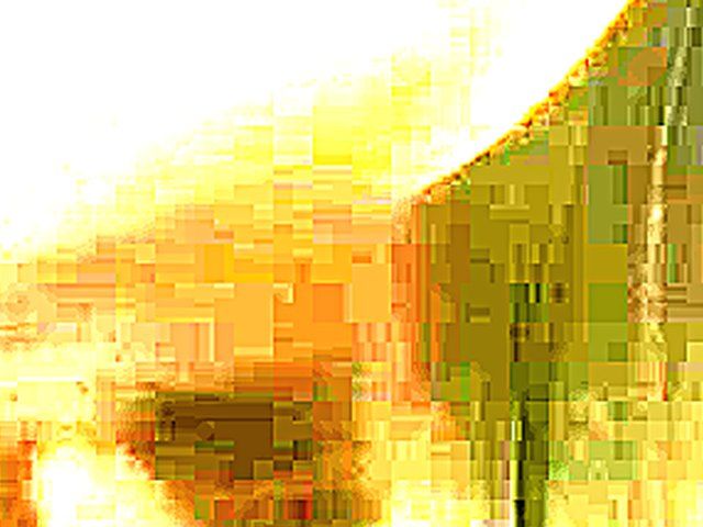 Hard fingers play with a young pussy