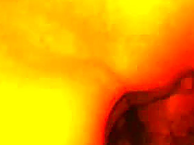 German babe gets her pussy fingered and fucked