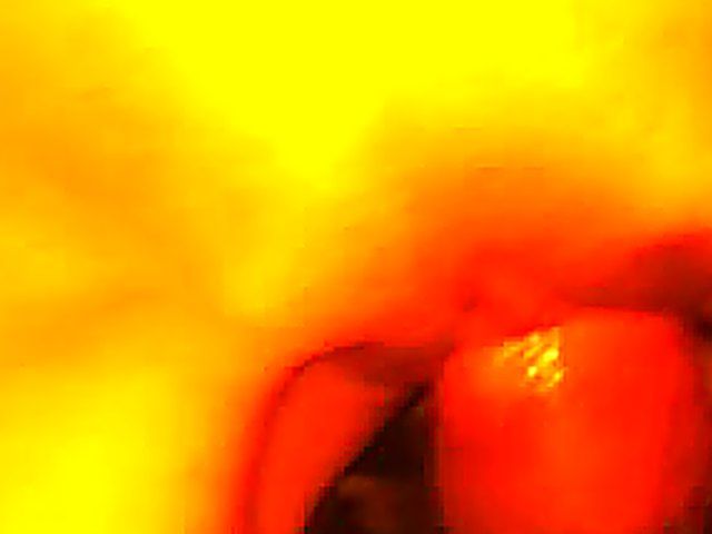 German babe gets her pussy fingered and fucked