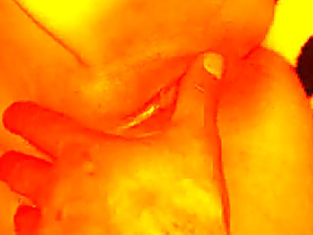 German babe gets her pussy fingered and fucked