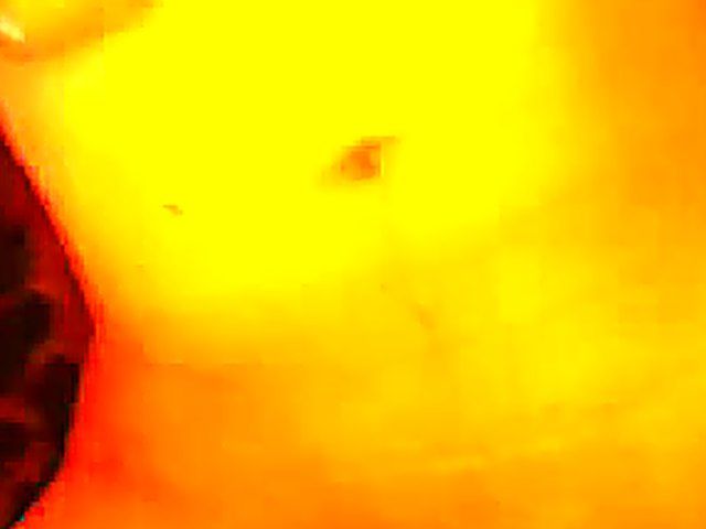 German babe gets her pussy fingered and fucked