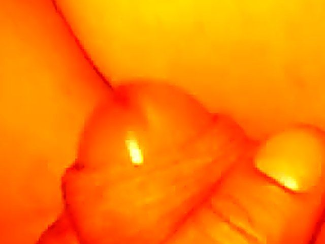 German babe gets her pussy fingered and fucked