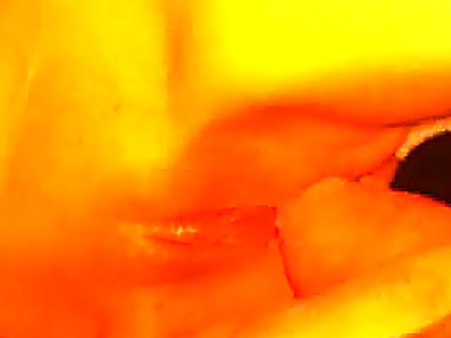 German babe gets her pussy fingered and fucked